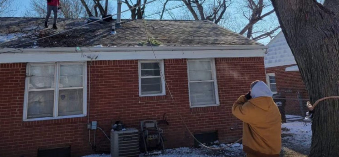 What happens if you prune a tree at the wrong time?