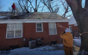 prune a tree at the wrong time