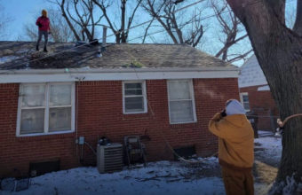 What happens if you prune a tree at the wrong time?