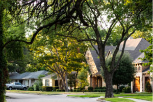 tree trimming service wichita ks