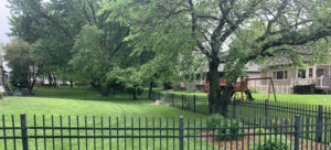 #1 Tree Services in Derby KS