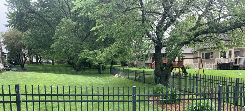 #1 Tree Services in Derby KS