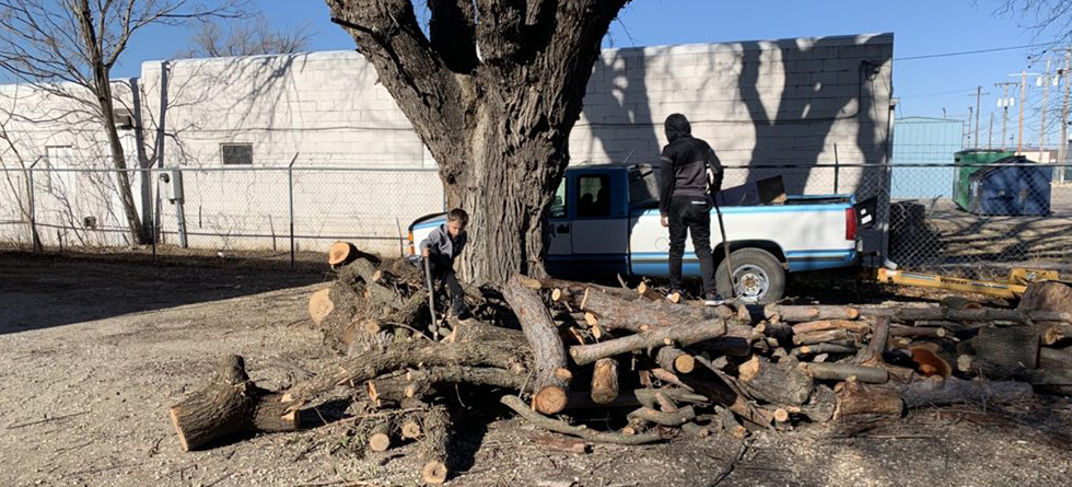 Best Tree Service in Cheney KS