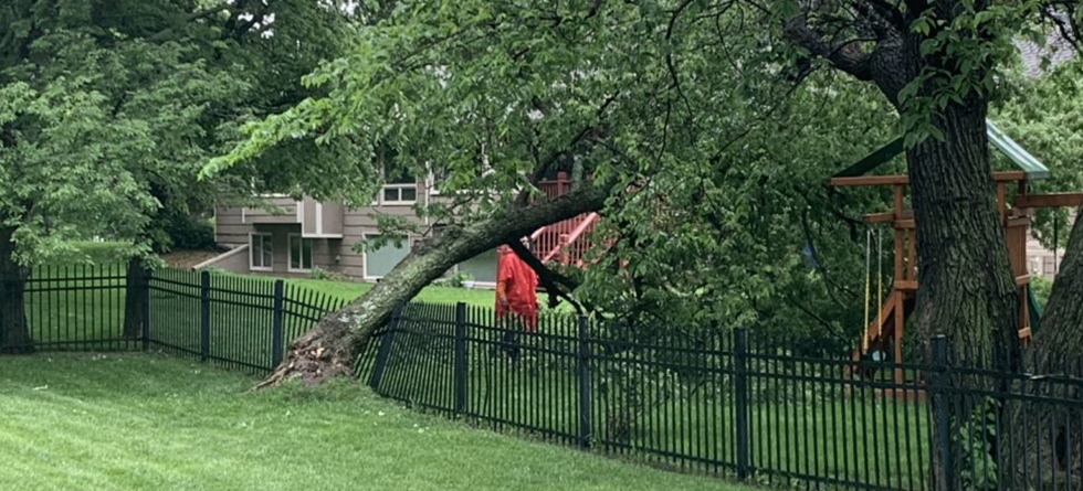 Best Tree Service in Sedgwick KS | Call Us