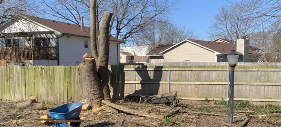 Best Tree & Stump Grinding Service in Hesston KS | Call (316) 550-7609