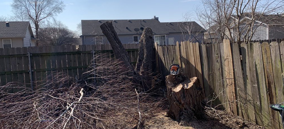 Best Tree Trimming & Landscaping in Burrton KS | Call (316) 550-7609