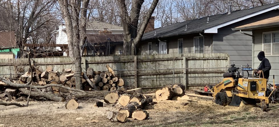 Reliable Stump Removal & Tree Service in Clearwater KS | (316) 550-7609