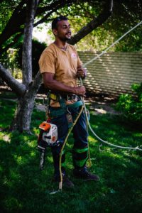 What Do You Call Someone Who Cuts Down Trees