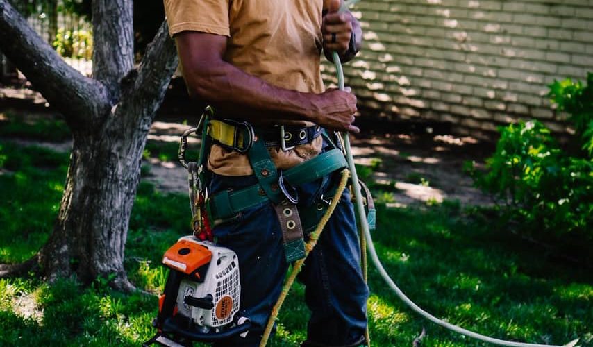 What Do You Call Someone Who Cuts Down Trees?