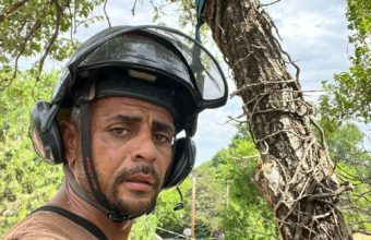 What Personal Characteristics Should An Arborist Have?