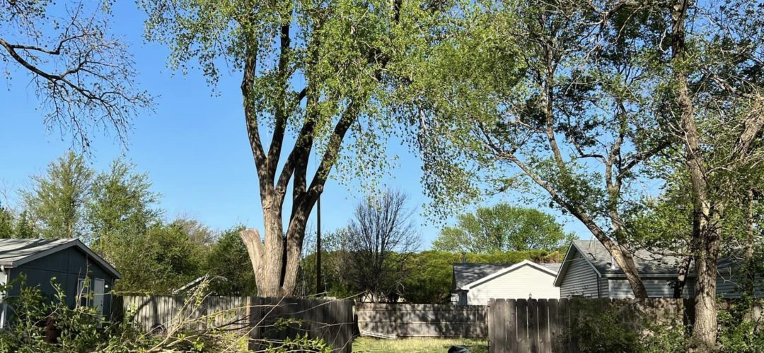 Which Is Better Post-pruning Or Pre Pruning?