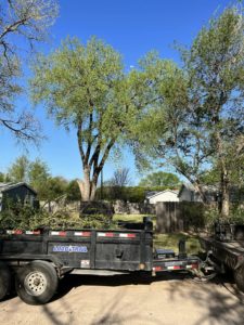 Which Is Better Post-pruning Or Pre Pruning