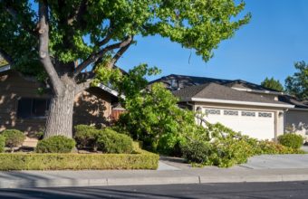 Should Trees Be Trimmed Away From House?