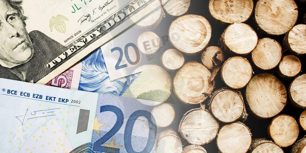 Why Tree Cutting Is So Expensive?