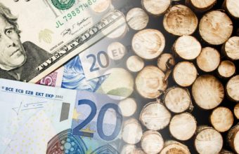 Why Tree Cutting Is So Expensive?