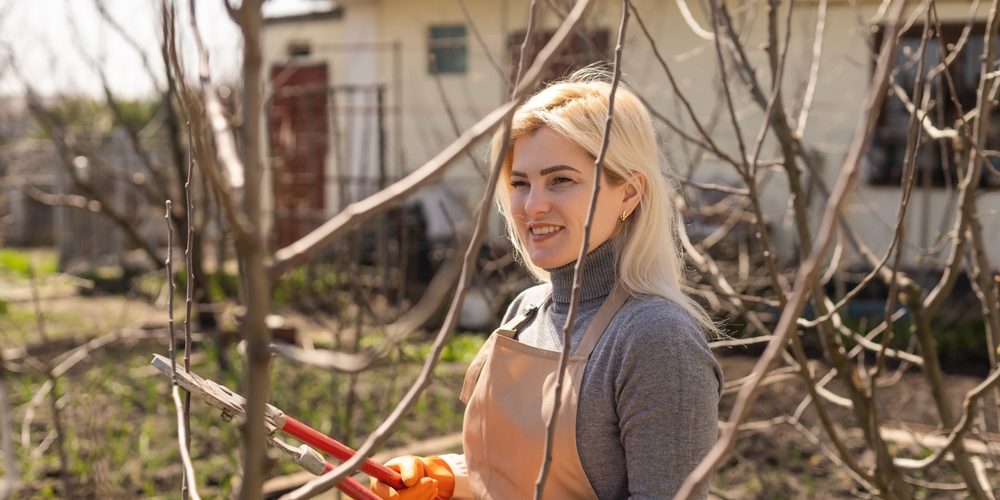 Is It Better To Trim Tree Branches In The Spring Or Fall?
