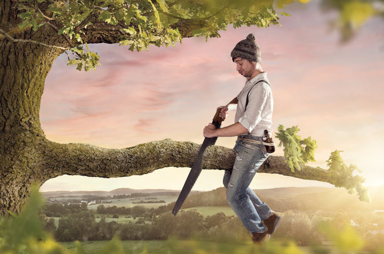 Is It Ok To Cut Tree Branches In Summer?