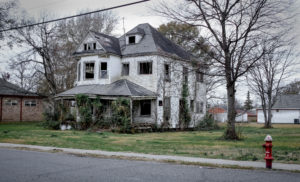 How Many Feet Should Trees Be Away From House