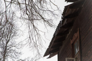 Should Tree Branches Hang Over Roof