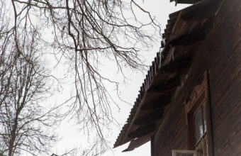 Should Tree Branches Hang Over Roof?