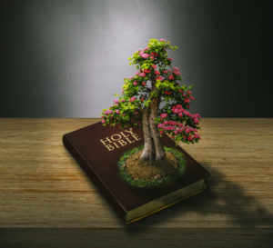 What Does God Say About Pruning