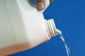 Will Bleach Rot A Tree Stump