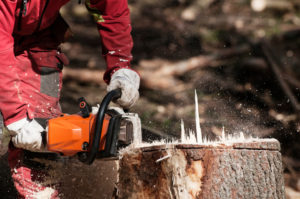 Can I Grind A Stump With A Chainsaw