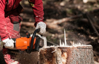 Can I Grind A Stump With A Chainsaw?