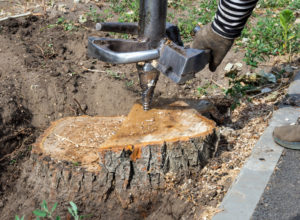 How Do You Remove A Stump Cheaply And Effectively