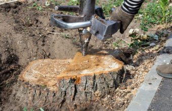 How Do You Remove A Stump Cheaply And Effectively?