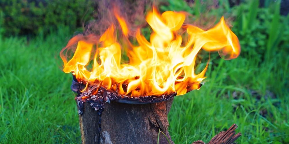 How Do You Remove A Tree Stump Without Heavy Equipment?