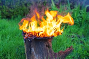 How Do You Remove A Tree Stump Without Heavy Equipment