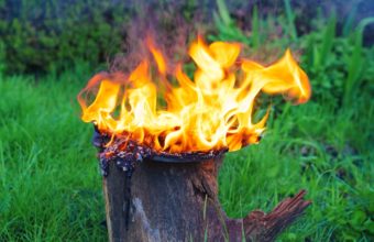 How Do You Remove A Tree Stump Without Heavy Equipment?