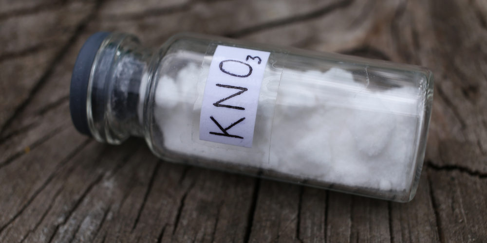 How Long Does It Take To Rot A Stump With Potassium Nitrate?