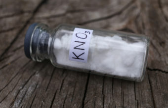 How Long Does It Take To Rot A Stump With Potassium Nitrate?