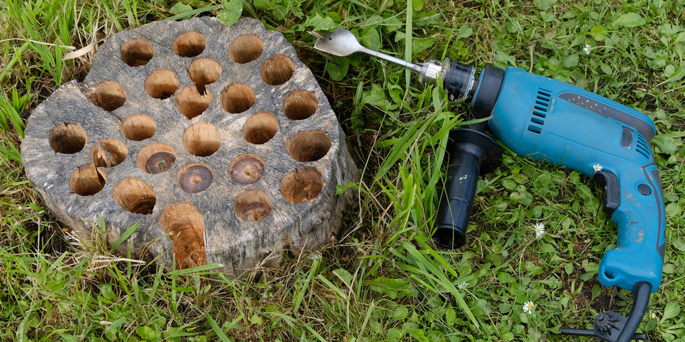 How Much Epsom Salt Do I Put In A Tree Stump?