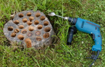 How Much Epsom Salt Do I Put In A Tree Stump?
