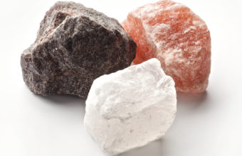 What Salt Kills Tree Stumps?