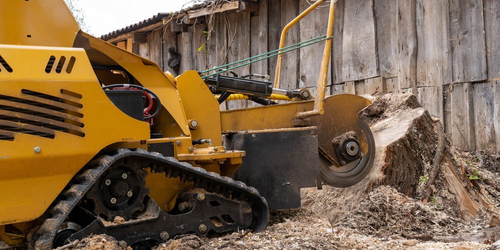 Why Is Stump Grinding So Expensive?