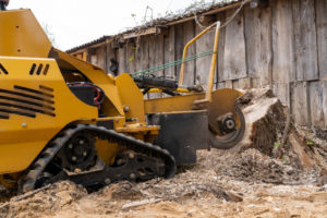 Why Is Stump Grinding So Expensive