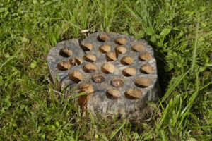 Will Drilling Holes In A Stump Make It Rot Faster