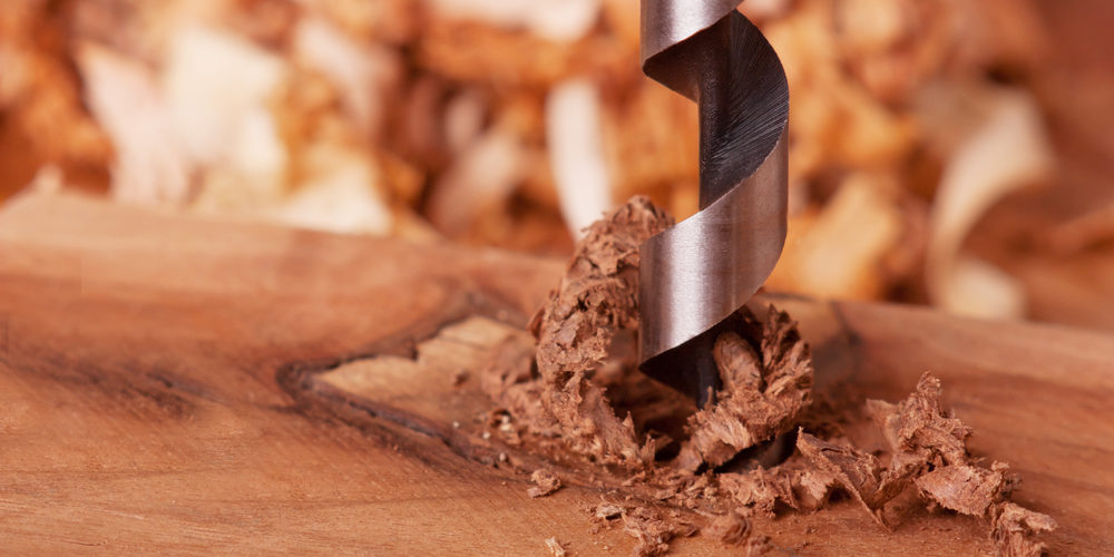 Can You Use An Auger To Remove A Tree Stump?