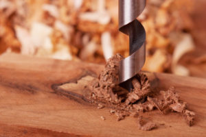 Can You Use An Auger To Remove A Tree Stump