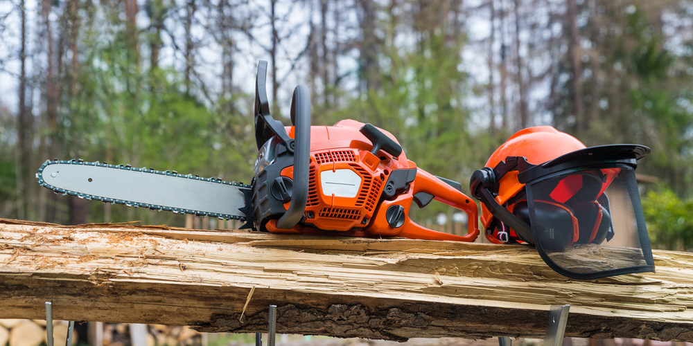 Do Arborists Use Chainsaws?