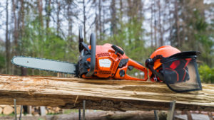 Do Arborists Use Chainsaws