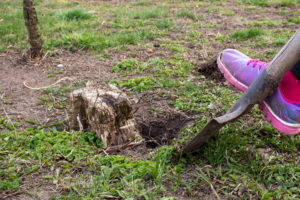How Do You Remove A Stump By Hand