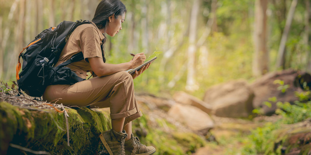 What Is A Scientist Who Studies Trees Called?