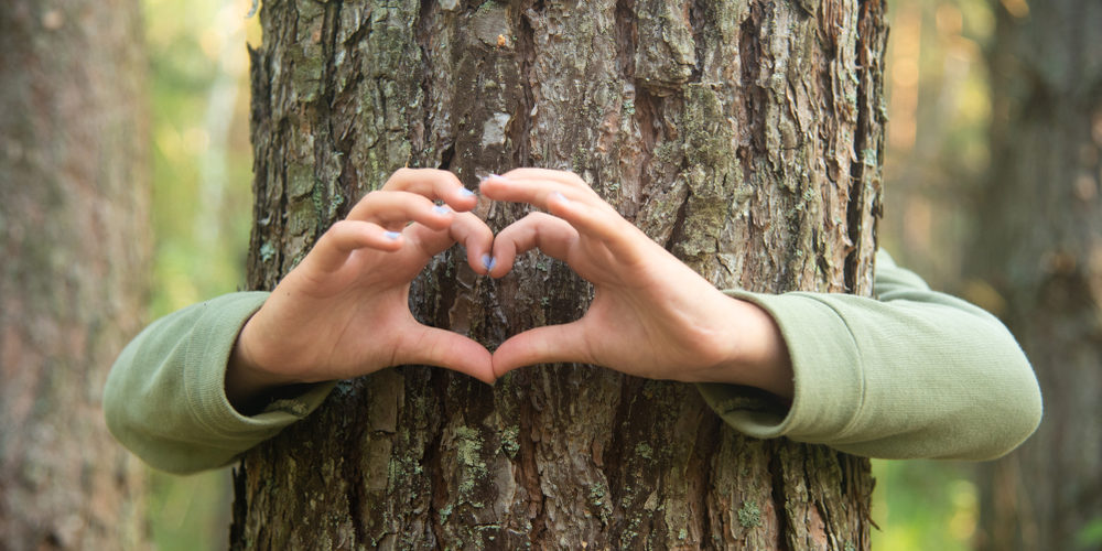What Is A Tree Lover Called?