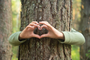 What Is A Tree Lover Called