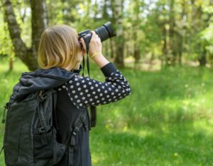What Is The Difference Between A Dendrologist And An Arborist